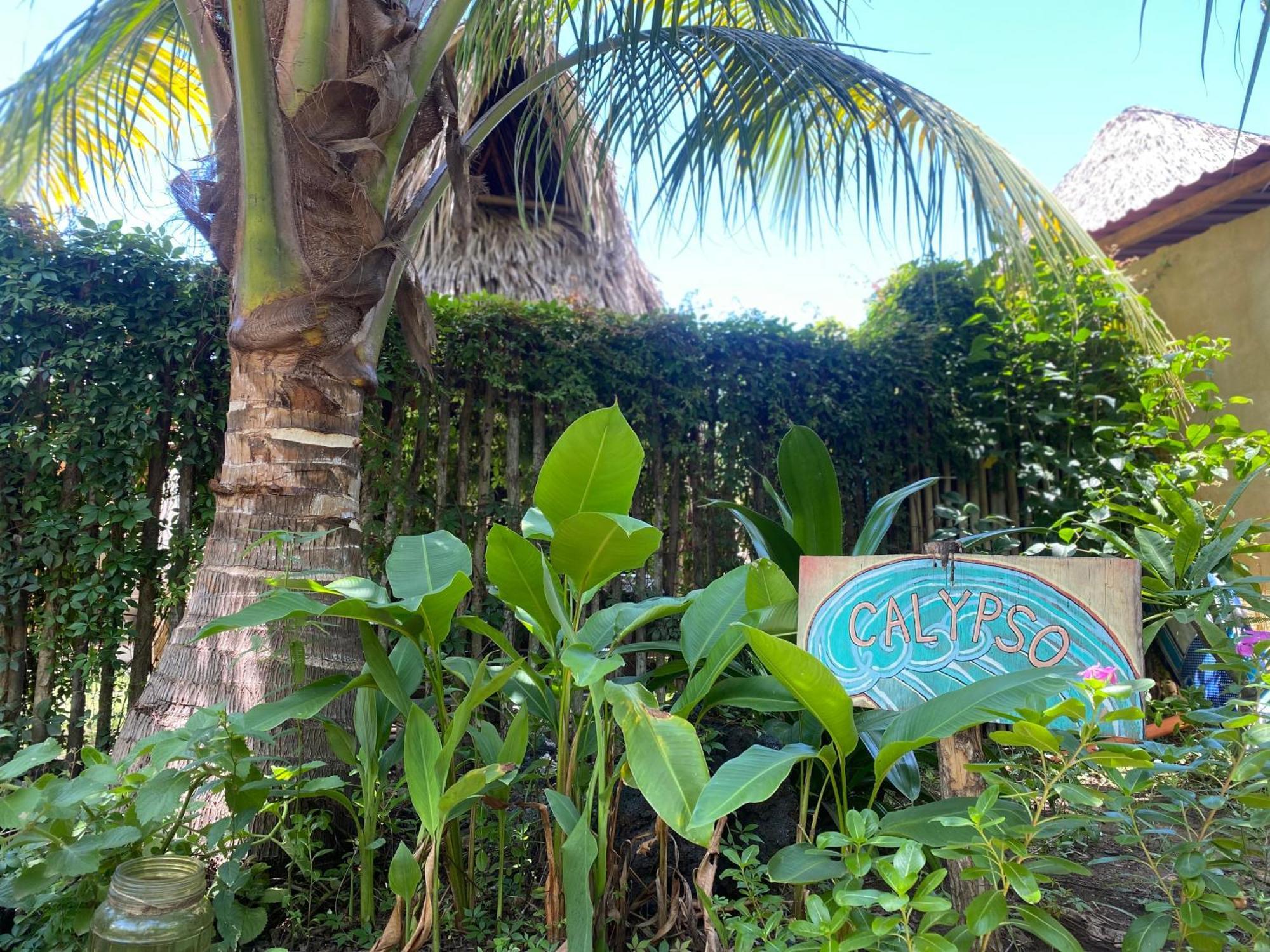 Calypso Cabanas El Paredón Buena Vista 외부 사진
